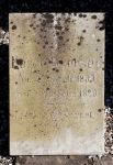 Karen Petersen f. 30.07. 1889 d.  26.02.1890 .JPG